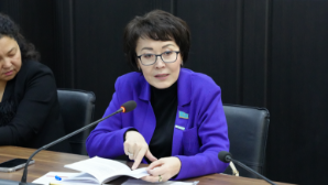 Закрепить поощрение волонтерства в новой Конституции предложили в Казахстане 