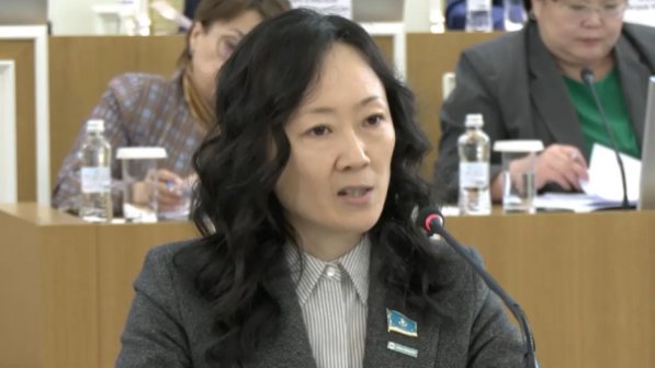 Закрепить поощрение волонтерства в новой Конституции предложили в Казахстане 