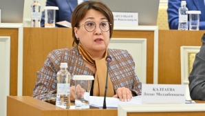 Текст новой Конституции предложили написать шрифтом Брайля – Ляззат Калтаева