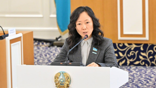 Закрепить поощрение волонтерства в новой Конституции предложили в Казахстане 