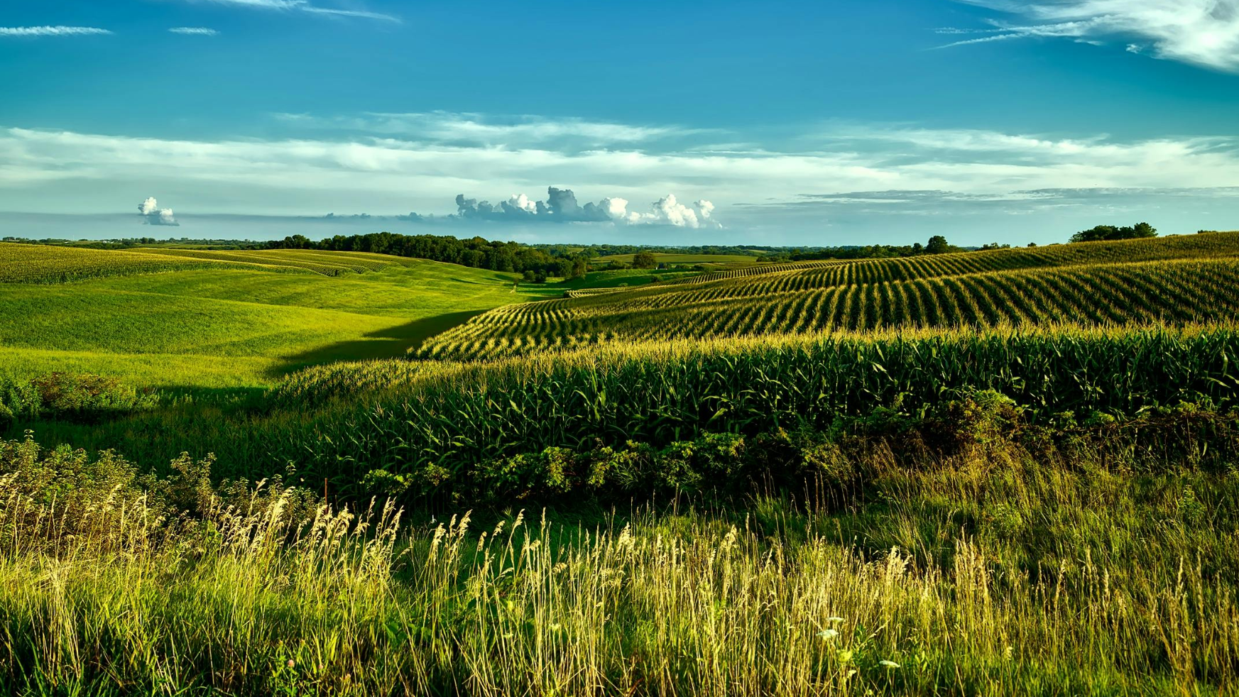Более 2,4 тыс. га пастбищ возвращены жителям Павлодарской области 