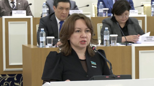 Новая Конституция РК обеспечит полную правовую определенность в переходный период