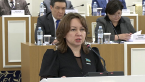 Новая Конституция РК обеспечит полную правовую определенность в переходный период