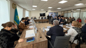 Эксперты Института парламентаризма выразили поддержку проекту новой Конституции