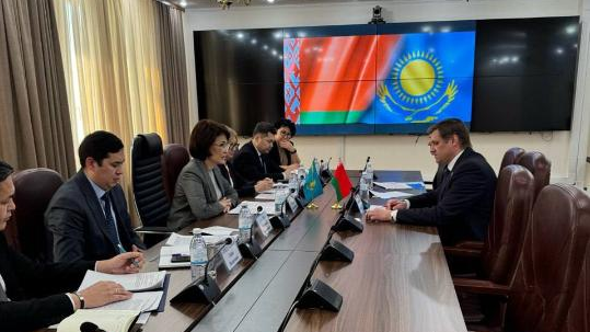 Казахстан и Беларусь обсудили перспективы сотрудничества в сфере здравоохранения