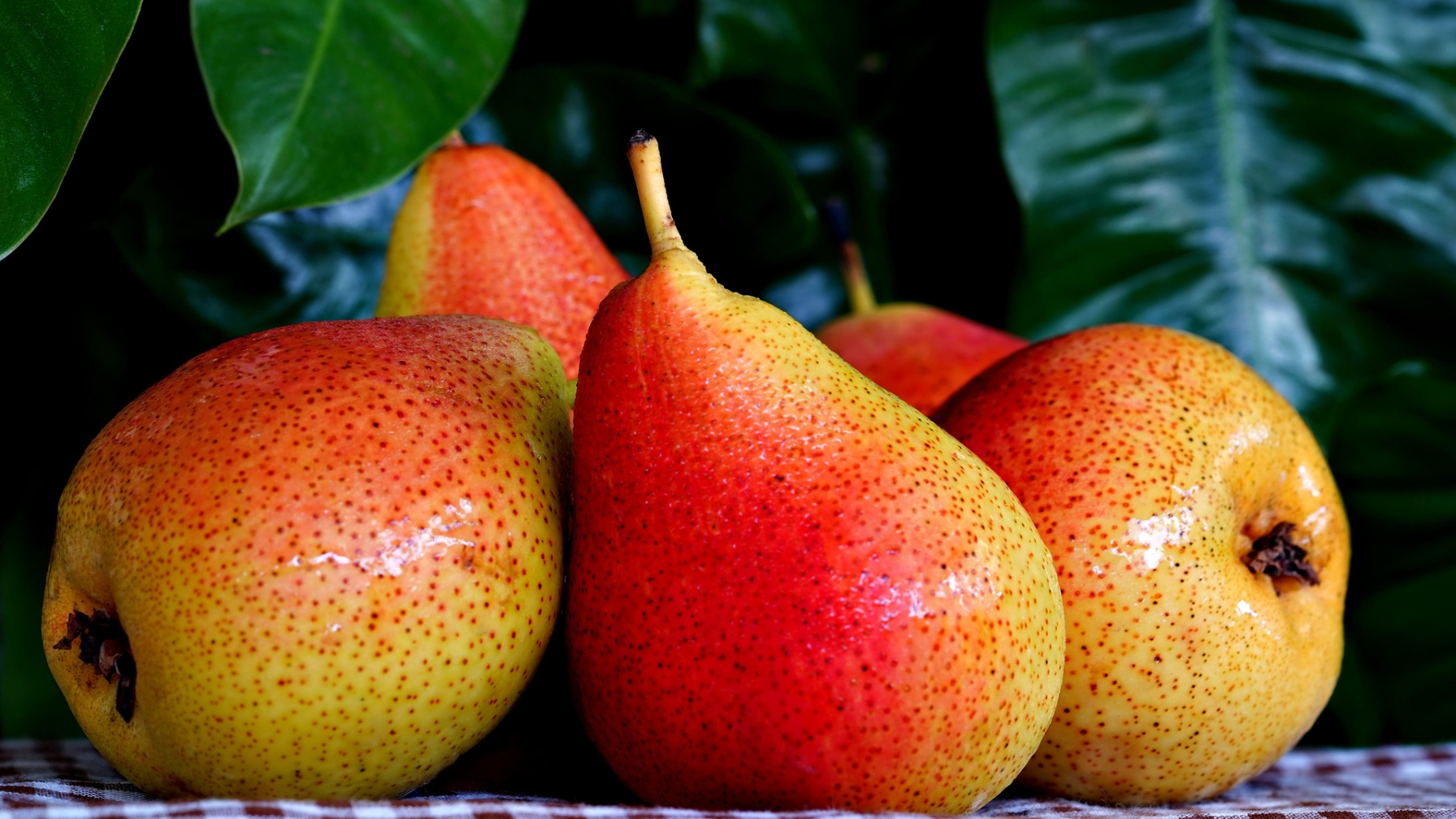 В Мангистауской области выявлен незаконный ввоз груш из Бельгии