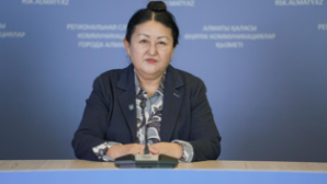 Эксперт: Референдум — высшая форма прямого волеизъявления народа