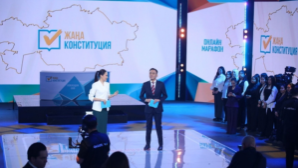 Критика состава, сомнение в прозрачности работы Комиссии и участия общественных организаций