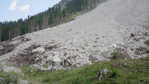 Жителей горных районов Алматы предупредили об опасности оползней