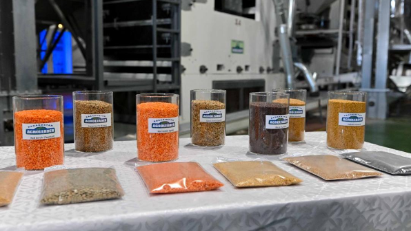В области Абай открыт завод по переработке бобовых и масличных культур
