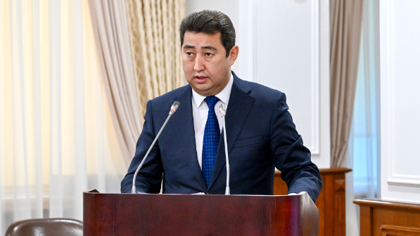 Казахстан увеличил экспорт переработанной сельхозпродукции