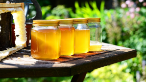 Казахстанский мед выходит на новые международные рынки