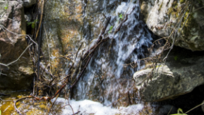 Более 700 потенциальных родников выявлено на территории Казахстана