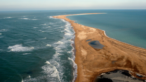 1,1 млрд тенге выделило Правительство на изучение и сохранение Каспия