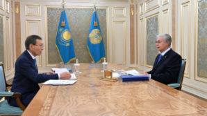 Токаев принял председателя Центральной комиссии референдума 