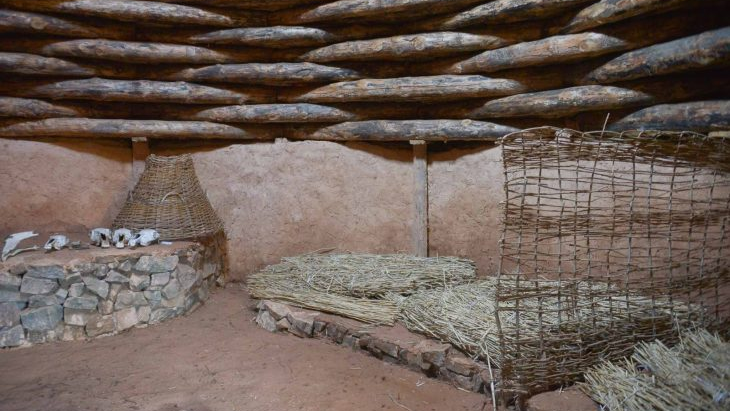 Кино и наука объединились для продвижения бренда Ботай на мировой арене