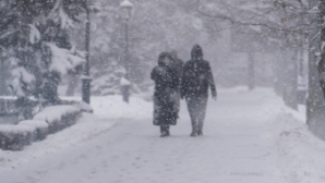 В Астане младшие и средние классы первой смены перевели на дистанционку из-за ухудшения погоды