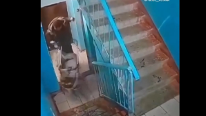 В Астане продолжается борьба с вандализмом: более 1,3 млн тенге штрафов