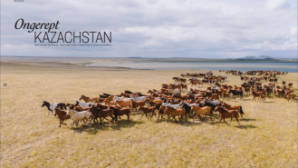 Европейский журнал Porschist представил выпуск о Казахстане с участием Алматы