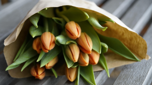 Из каких стран импортирует Казахстан цветы