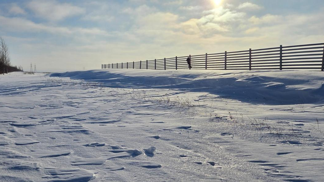 на трассе Астана – Кокшетау тестируют новую снегозащитную систему
