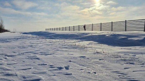 на трассе Астана – Кокшетау тестируют новую снегозащитную систему