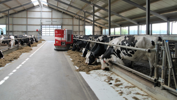 В ВКО построят новые ветеринарные станции и 70 ветпунктов