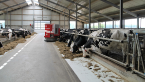 В ВКО построят новые ветеринарные станции и 70 ветпунктов