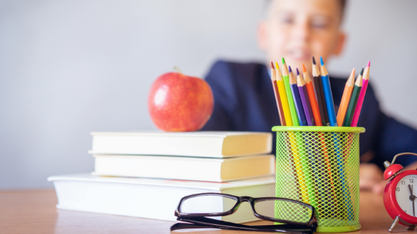 В Казахстане запущен пилотный проект «Приобщение к труду и профессиям с раннего возраста»