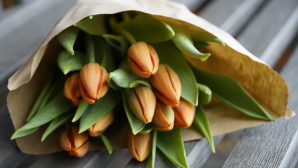 В Алматы определено 1150 торговых мест для продажи цветов к 8 Марта