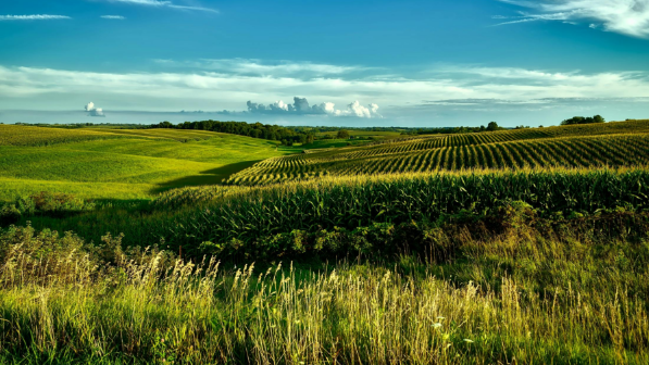 150 тыс. га земель возвращено в госсобственность в Алматинской области