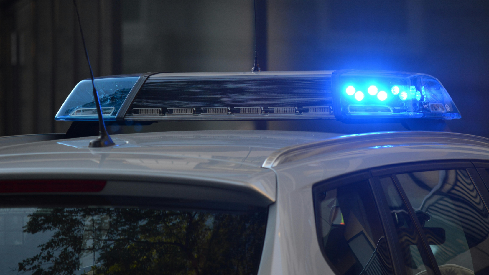 Три факта двойного гражданства выявлено в области Абай