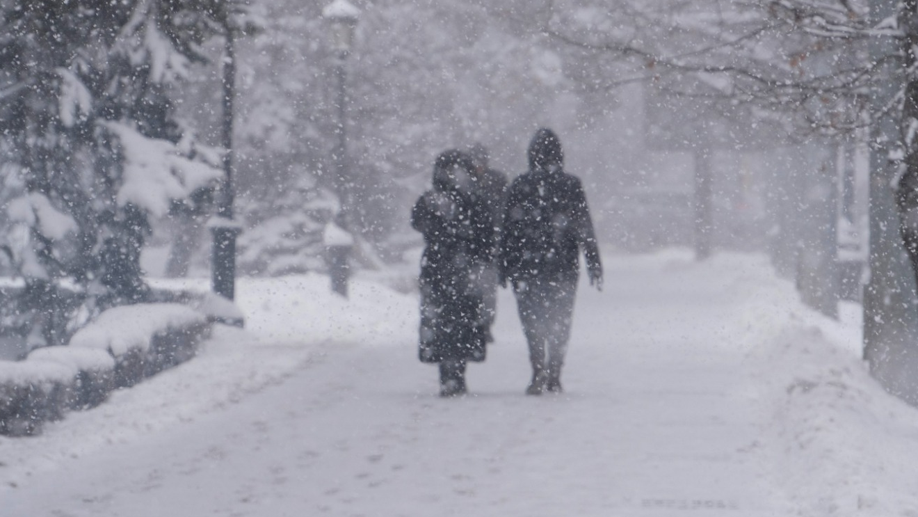 Учащихся младших классов перевели на онлайн-обучения в Астане