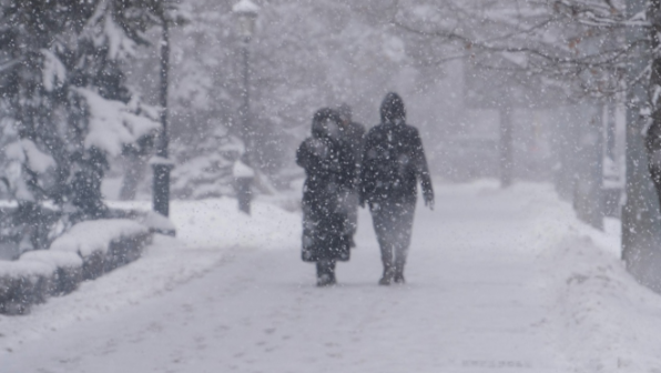 Учащихся младших классов перевели на онлайн-обучения в Астане