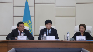 Республиканские этнокультурные объединения обсудили подготовку к референдуму