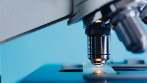 Инвестиции в науку и образование в Казахстане выросли в пять раз