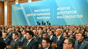 Президент: маслихаты — фундамент доверия граждан к власти