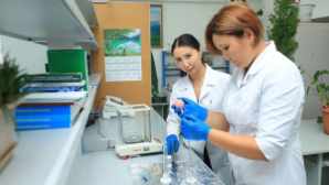 Хранительница формул: путь Молдир Абдраймовой в науку будущего