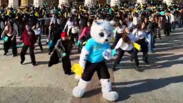 Активная молодежь Алматы поддержала проект новой Конституции