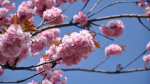 В Астане пройдет национальный спортивный фестиваль Tartys Fest