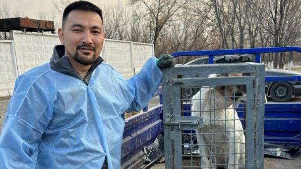 15 марта – Қайырымдылық күні: алматинский волонтёр Арсен Кабденов помогает бездомным животным