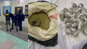 В Павлодарской области задержан мужчина с 11 кг наркотиков