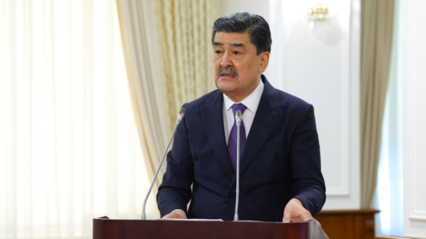 В Казахстане внедряют современные инструменты экологической политики