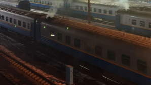 В Алматы при проверке поездов выявлены превышения по саже и оксиду углерода