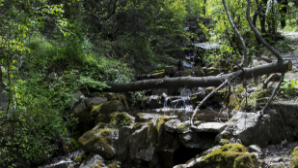 В Казахстане проведут разведку новых источников подземных вод в пяти регионах