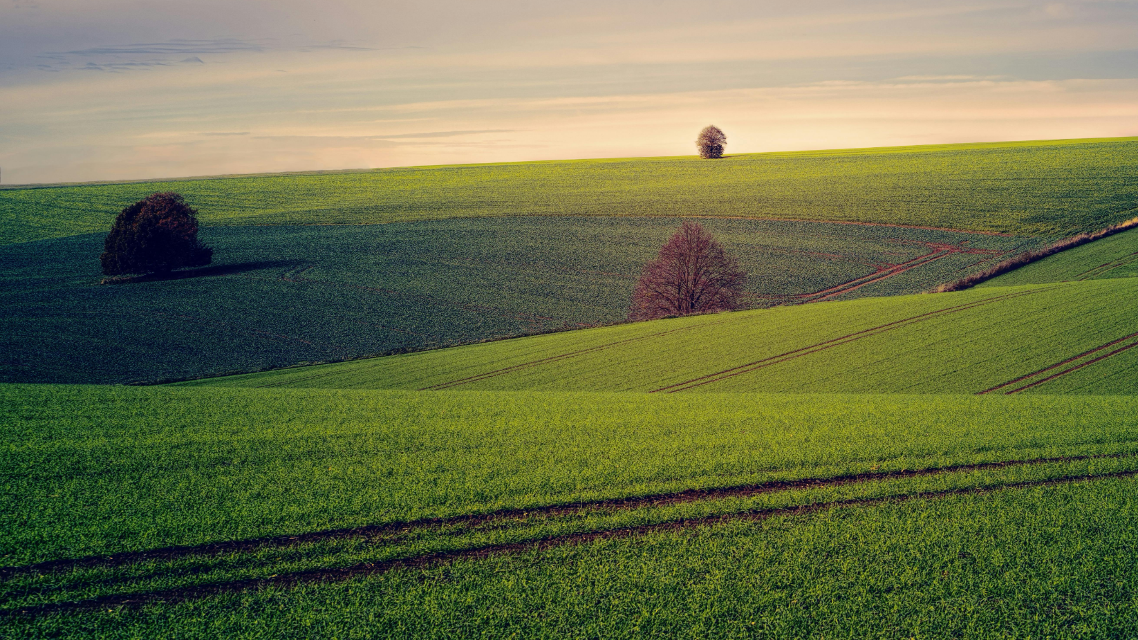В Кызылординской области изъяли около 130 га неиспользуемых сельхозземель