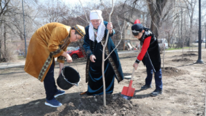 В Алматы в Жаңару күні высадили более 400 деревьев