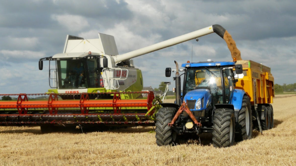 В области Абай засеют 767 тысяч га сельхозкультур