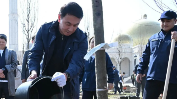 Аким Алматы принял участие в посадке деревьев в рамках празднования Наурыза