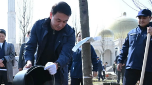 Аким Алматы принял участие в посадке деревьев в рамках празднования Наурыза